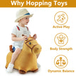Bouncy Pals - Varieties - Sensory Kingdom