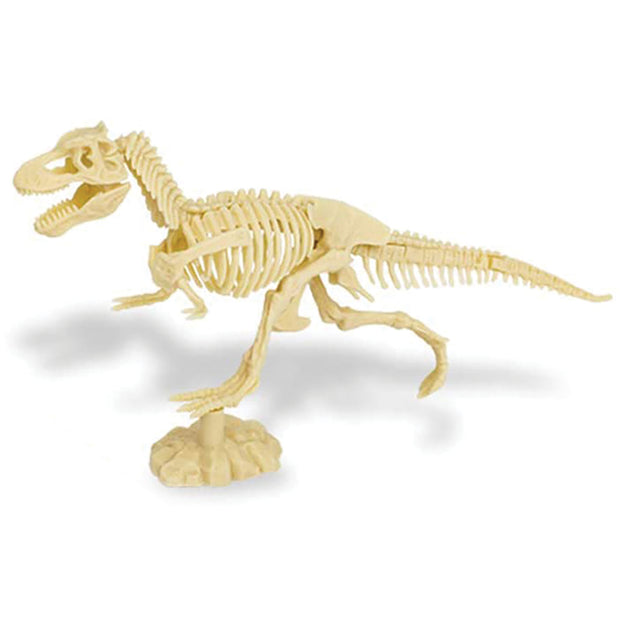 Dig & Discover Tyrannosaurus
