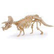 Dig & Discover Triceratops