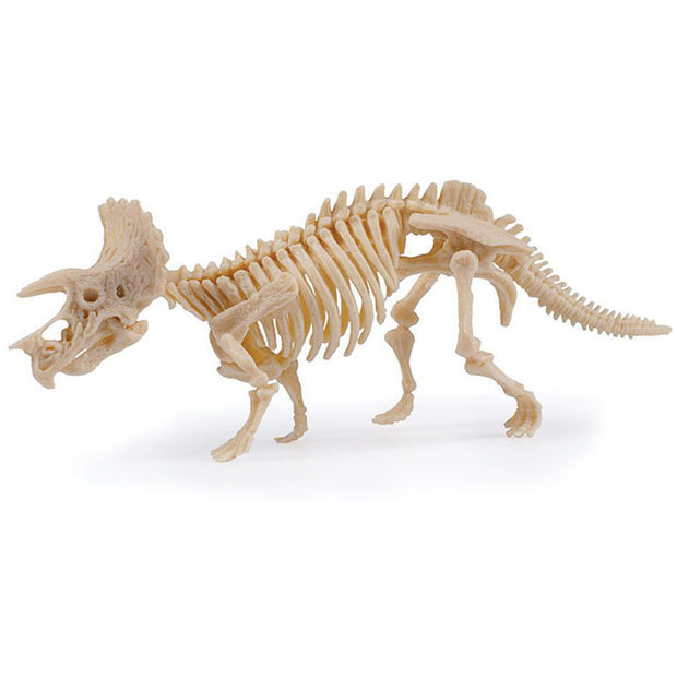 Dig & Discover Triceratops