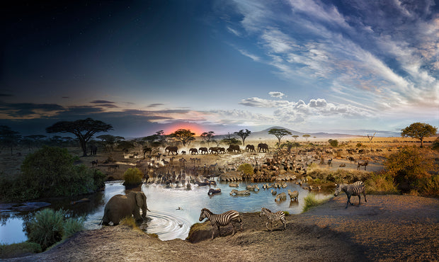 STEPHEN WILKES - SERENGETI, TANZANIA (1000PC)