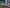 STEPHEN WILKES - TIMES SQUARE (1020PC)