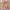 Aarons Putty - Poke'n Dots Popp'n