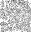 Colouring Book - Serenity