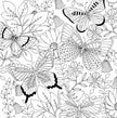Coloring Book - Follow Your Dreams