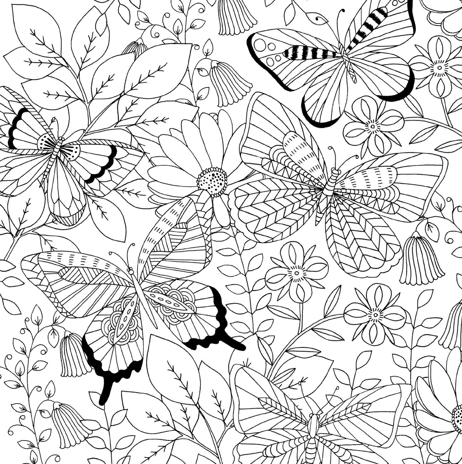 Coloring Book - Follow Your Dreams