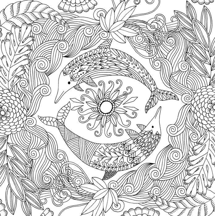 Coloring Book - Follow Your Dreams