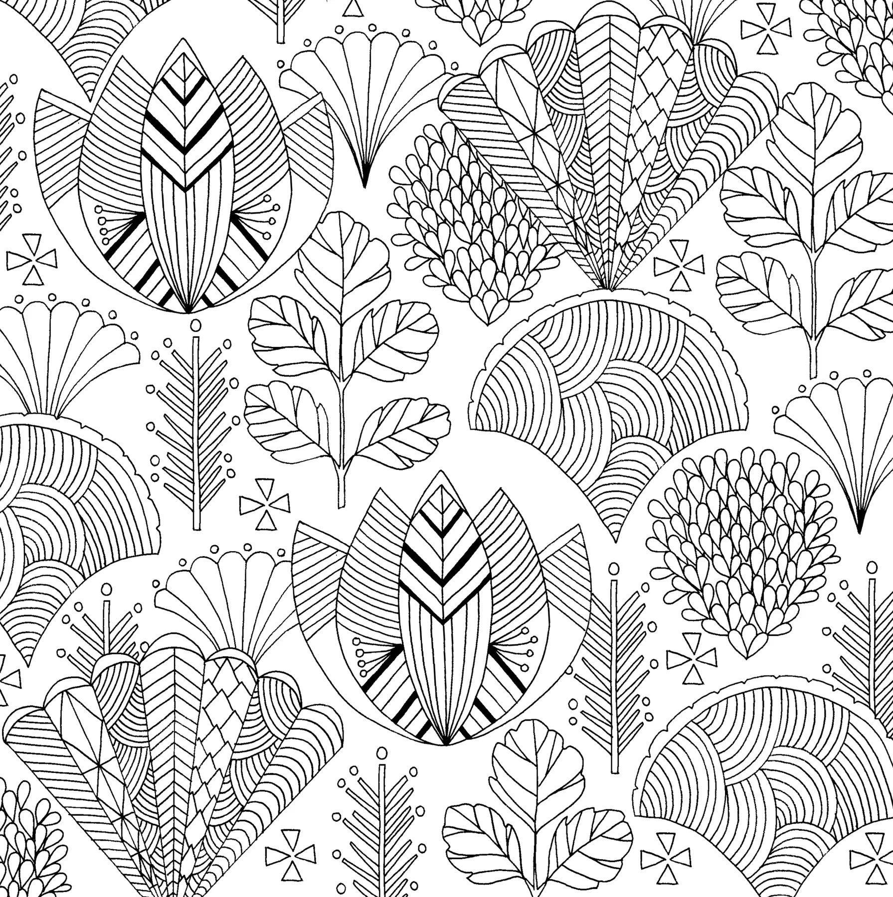 Coloring Book - Follow Your Dreams
