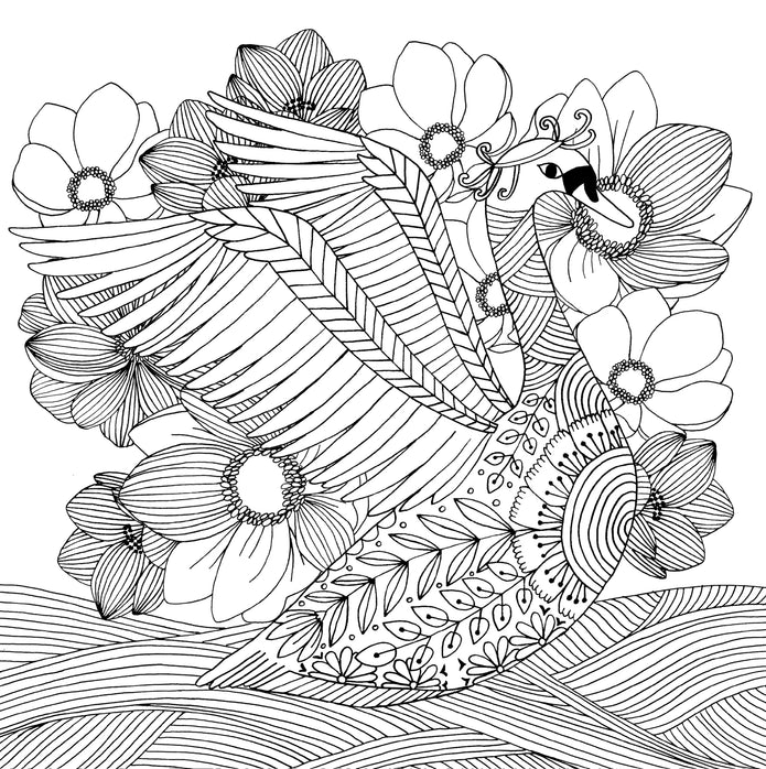 Coloring Book - Follow Your Dreams