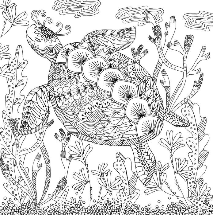 Coloring Book - Follow Your Dreams