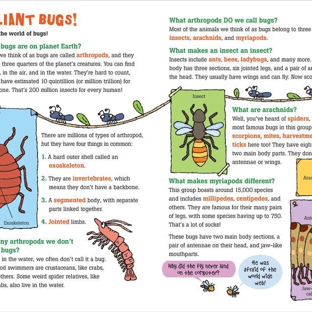 100 Questions about Bugs