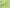 100 Questions about Bugs