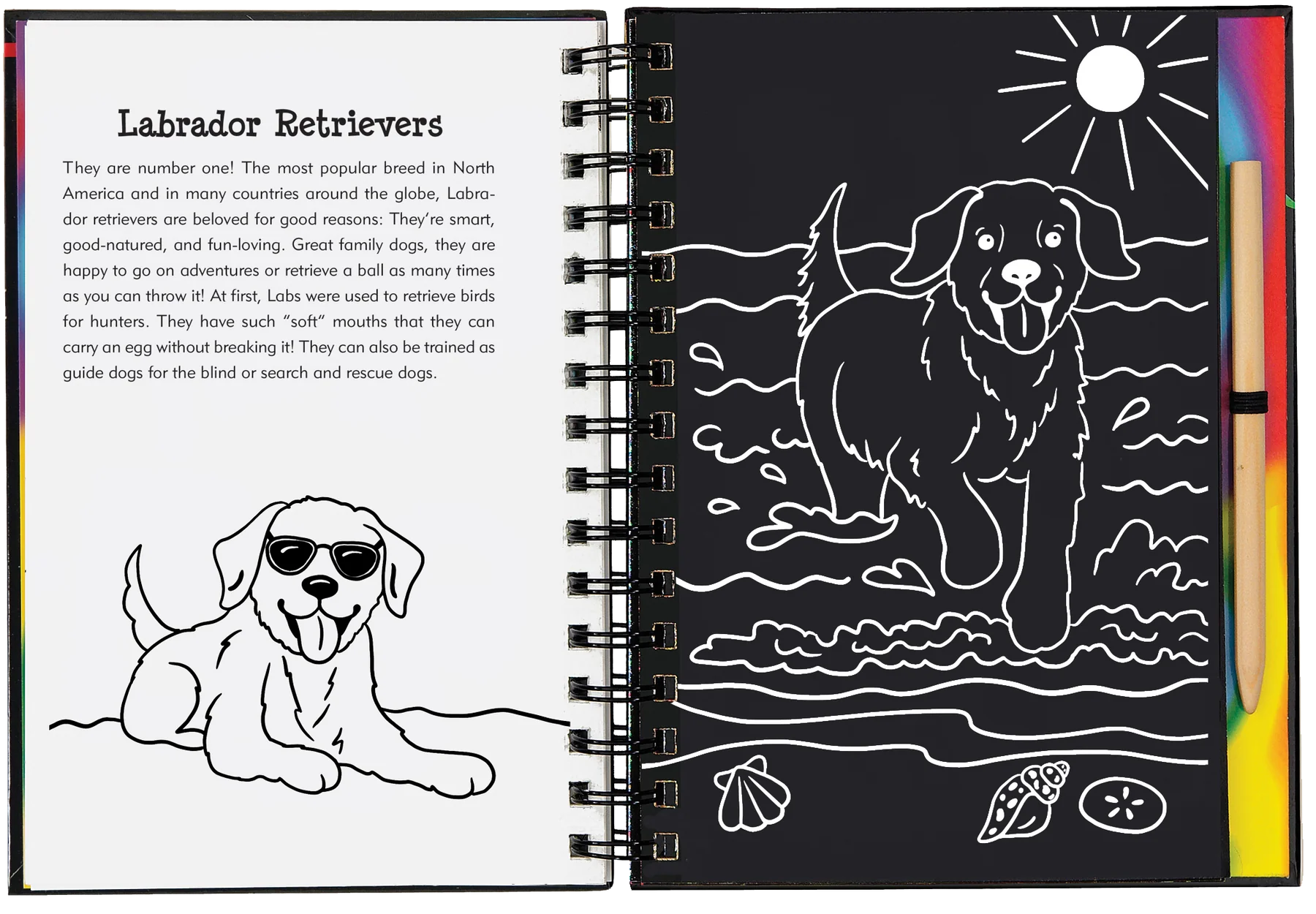 Scratch and Sketch - Puppies