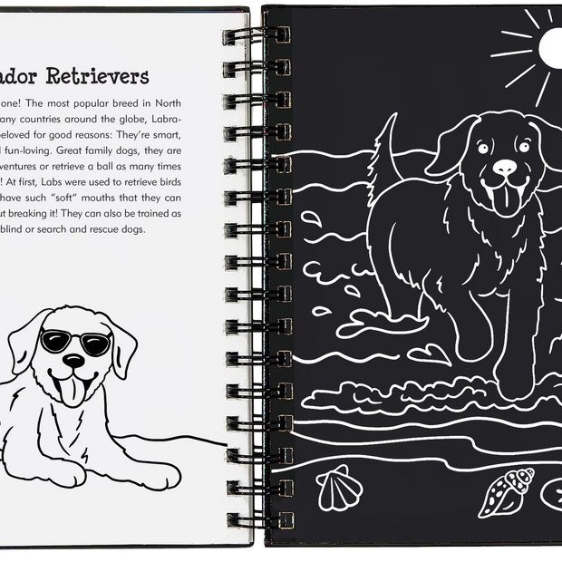 Scratch and Sketch - Puppies