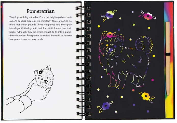 Scratch and Sketch - Puppies