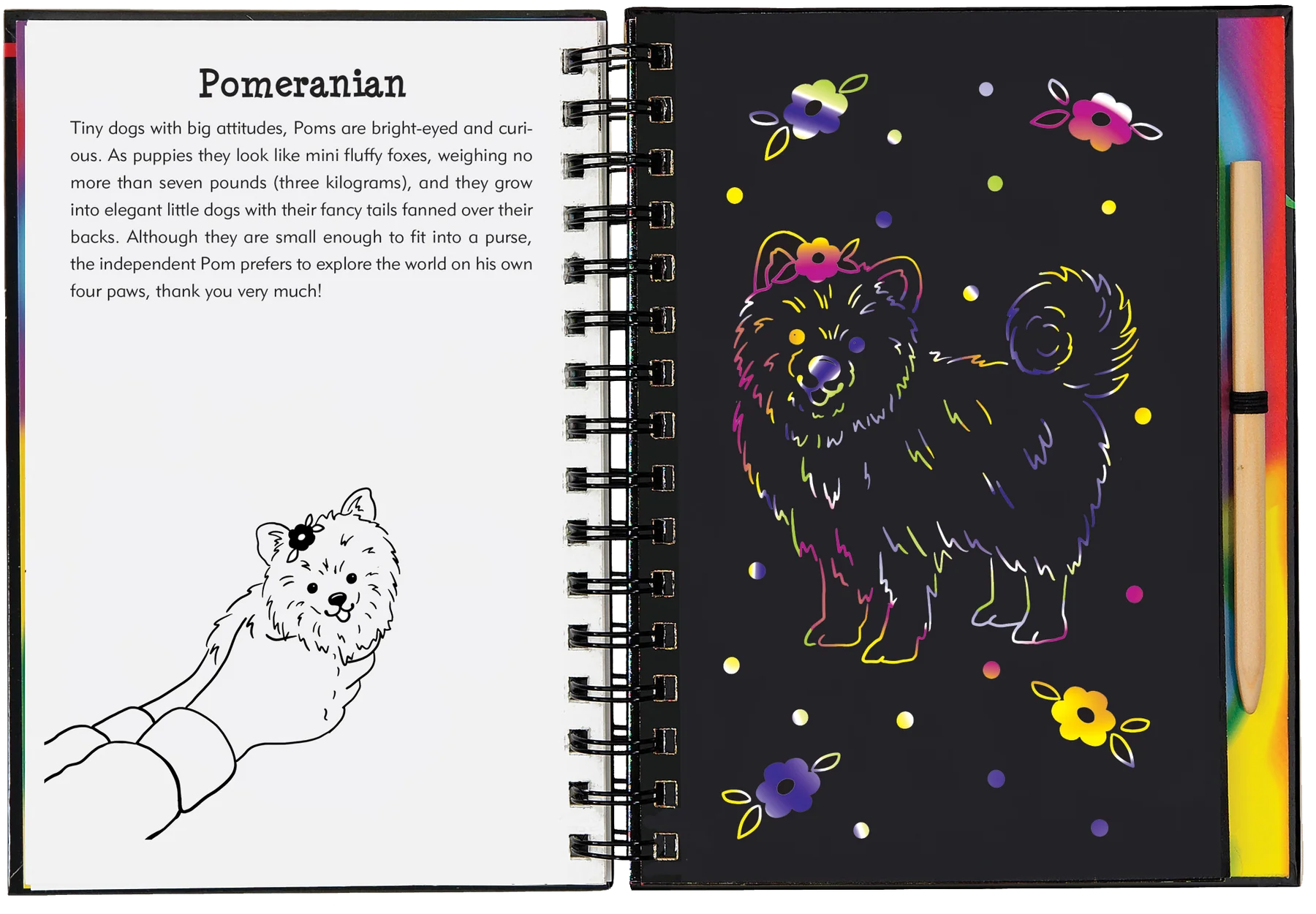 Scratch and Sketch - Puppies