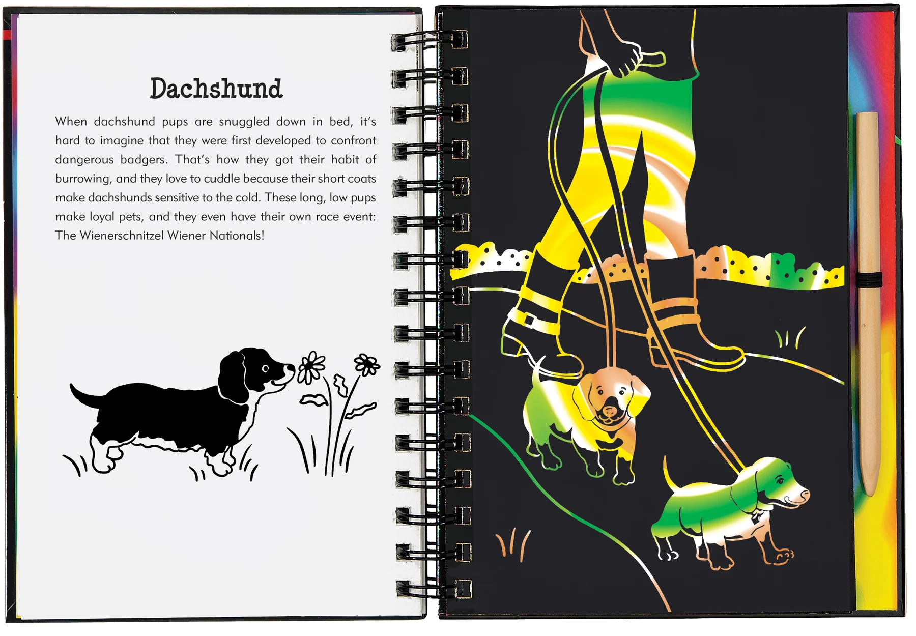 Scratch and Sketch - Puppies