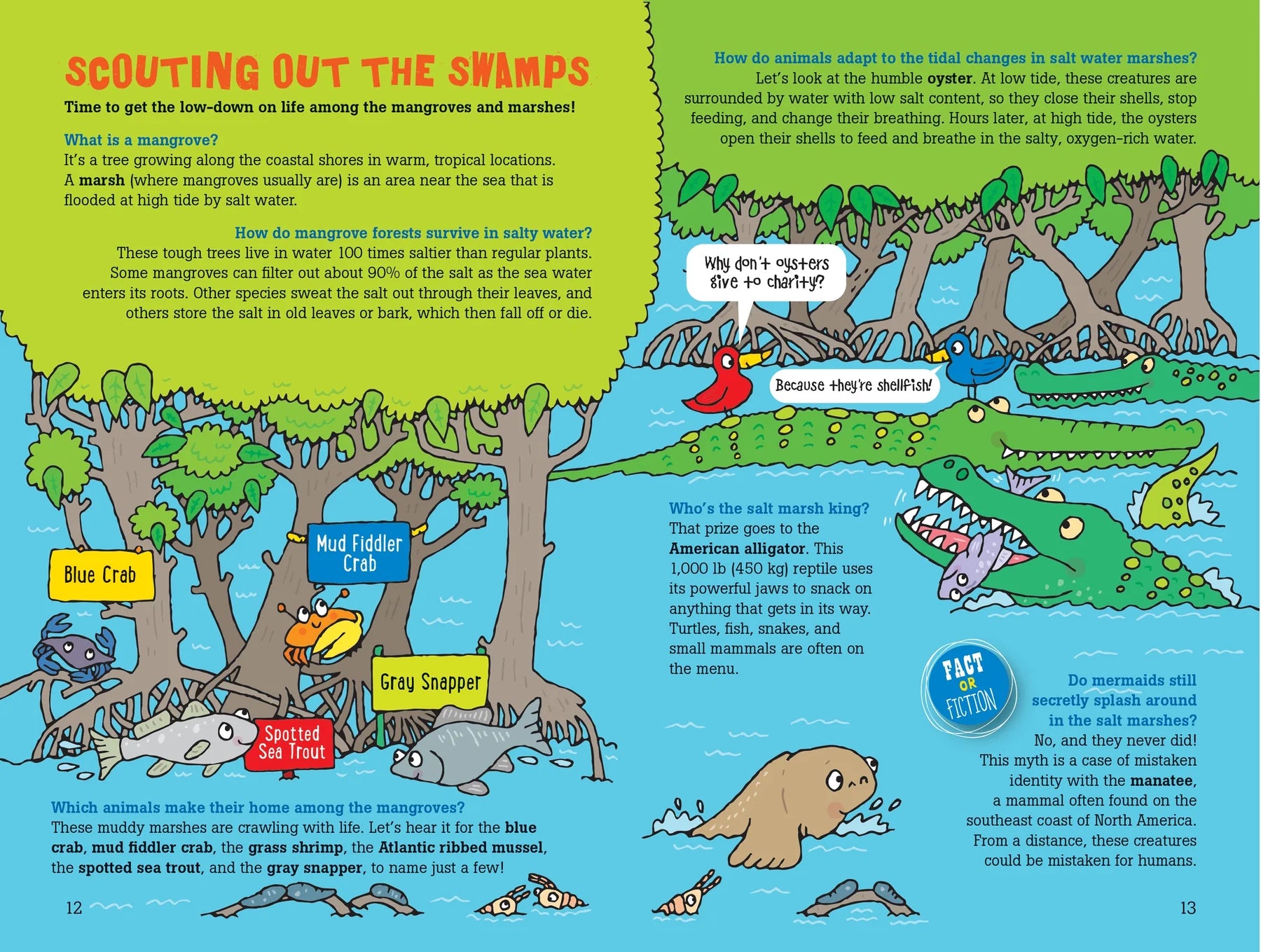 100 Questions about Oceans