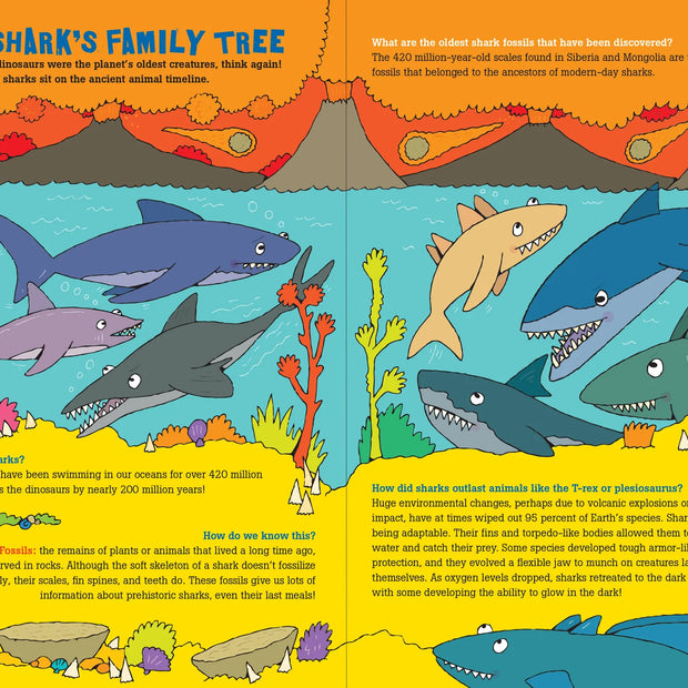100 Questions about Sharks