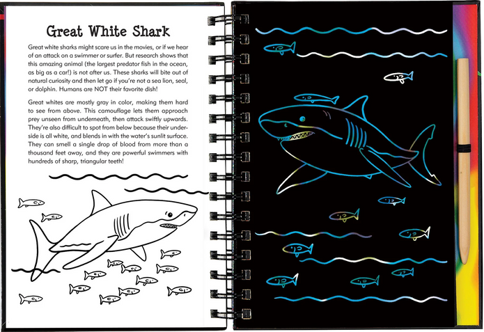 Scratch and Sketch - Sharks