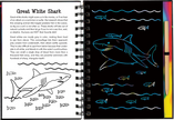 Scratch and Sketch - Sharks