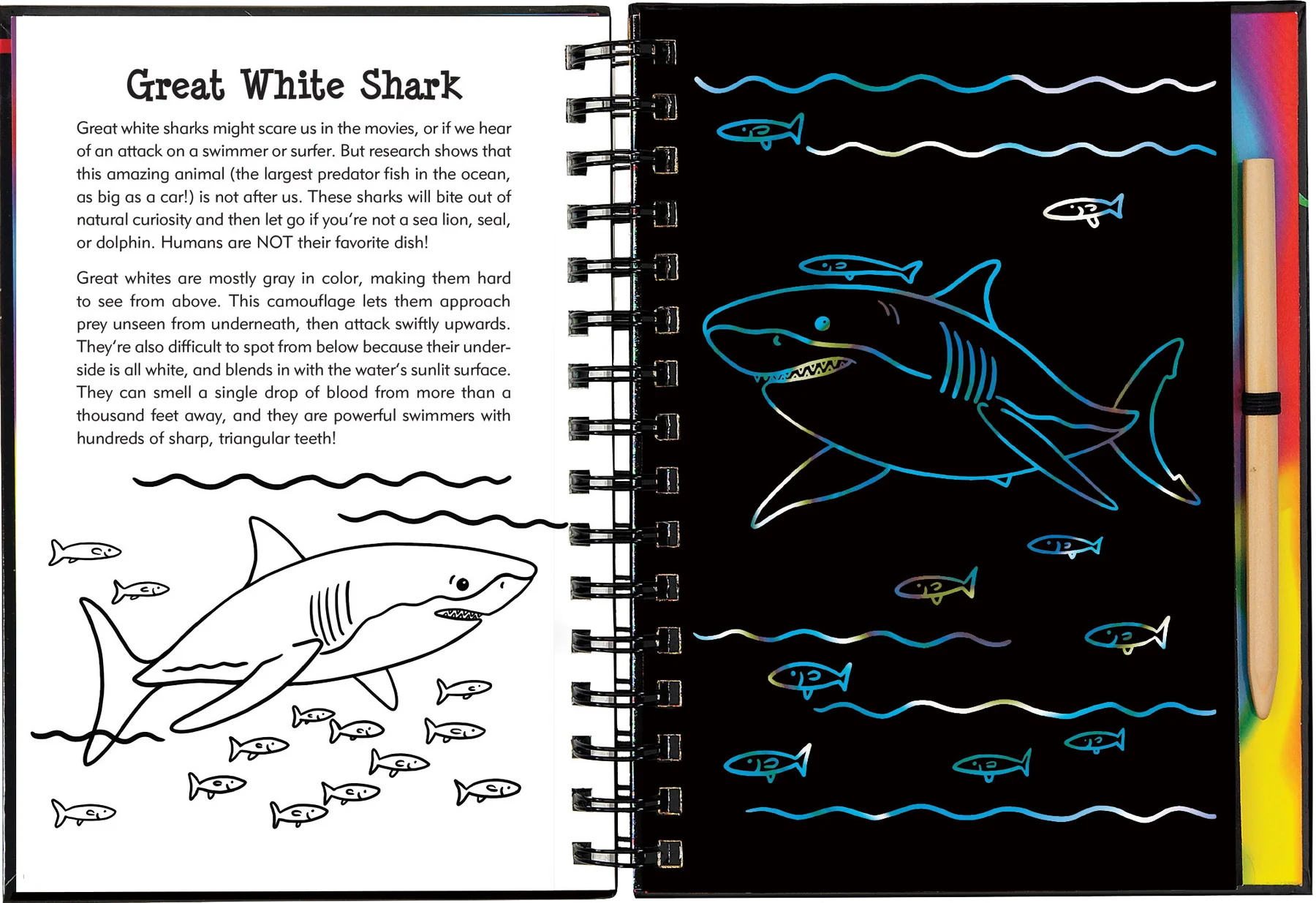 Scratch and Sketch - Sharks