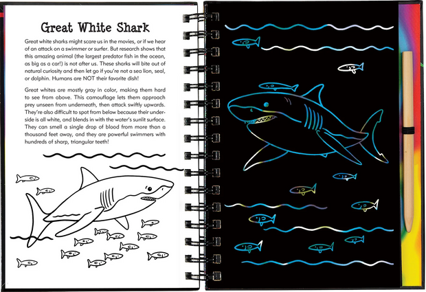 Scratch and Sketch - Sharks