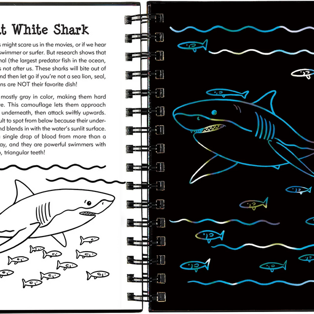 Scratch and Sketch - Sharks