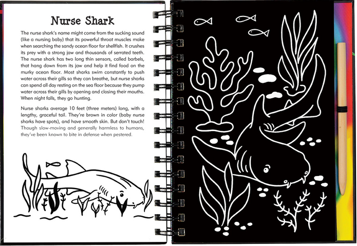 Scratch and Sketch - Sharks