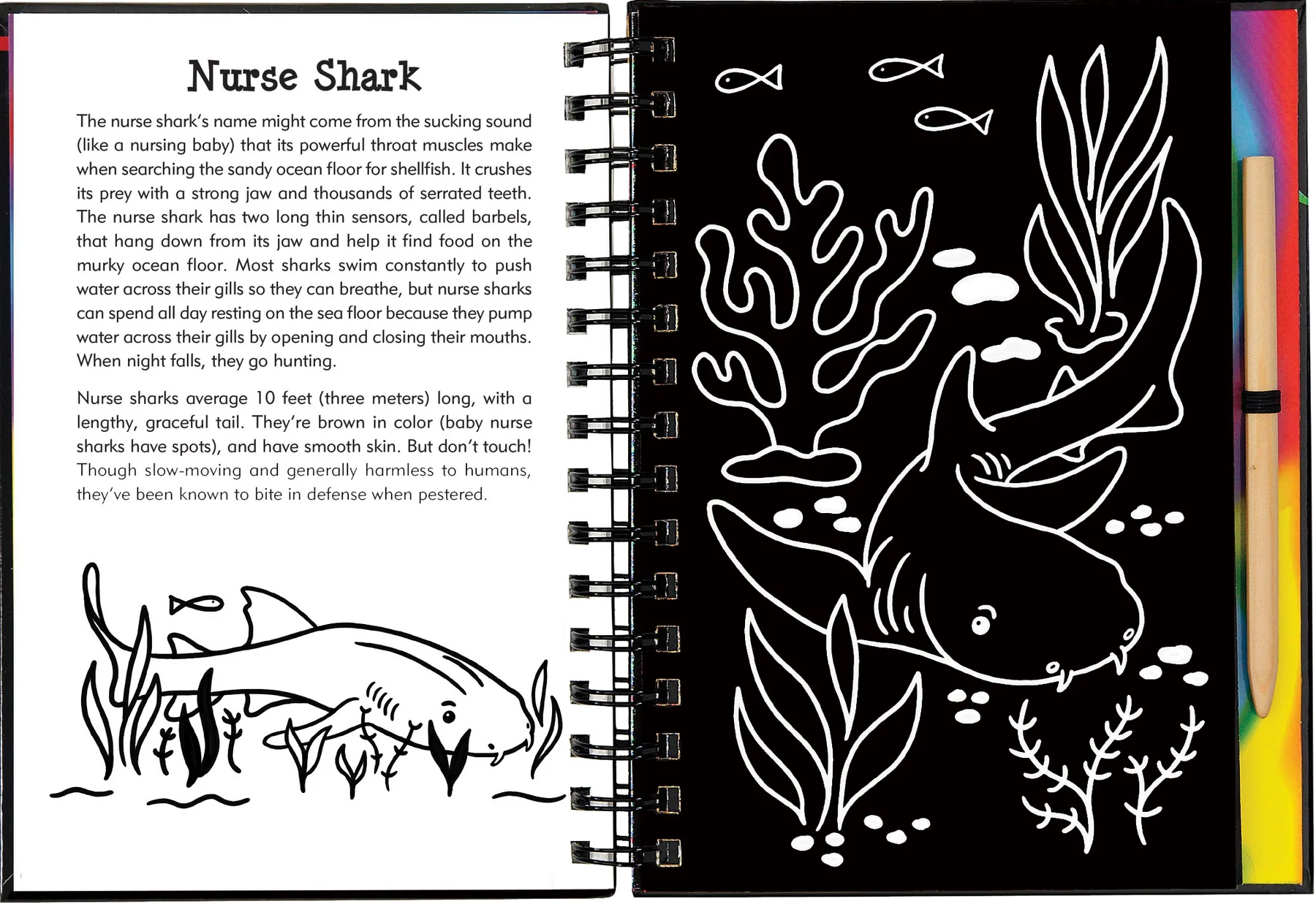Scratch and Sketch - Sharks