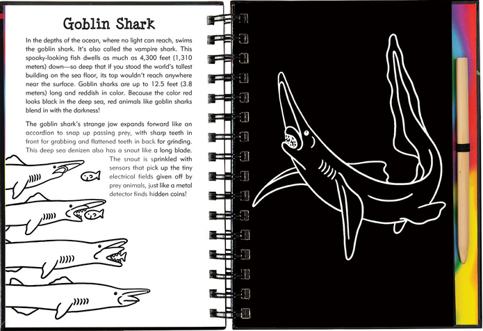 Scratch and Sketch - Sharks
