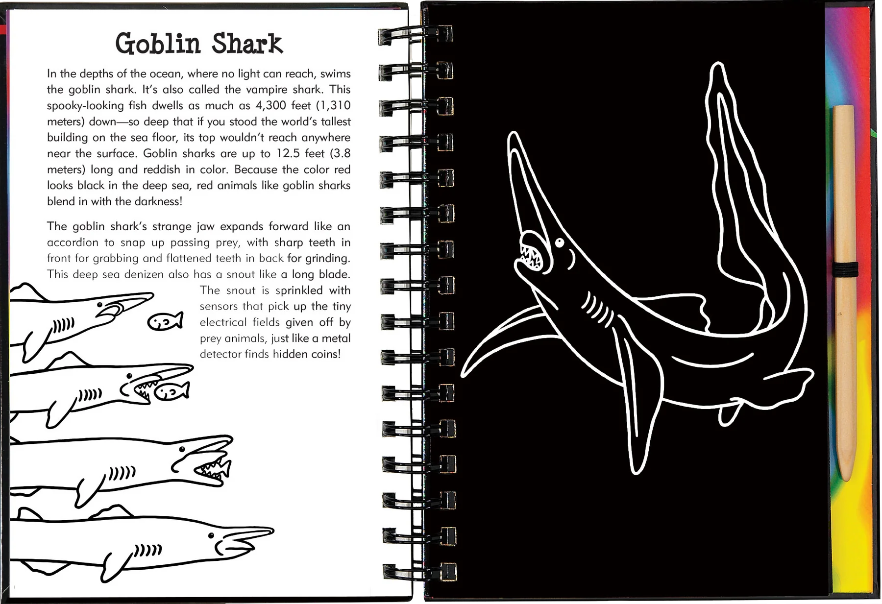 Scratch and Sketch - Sharks