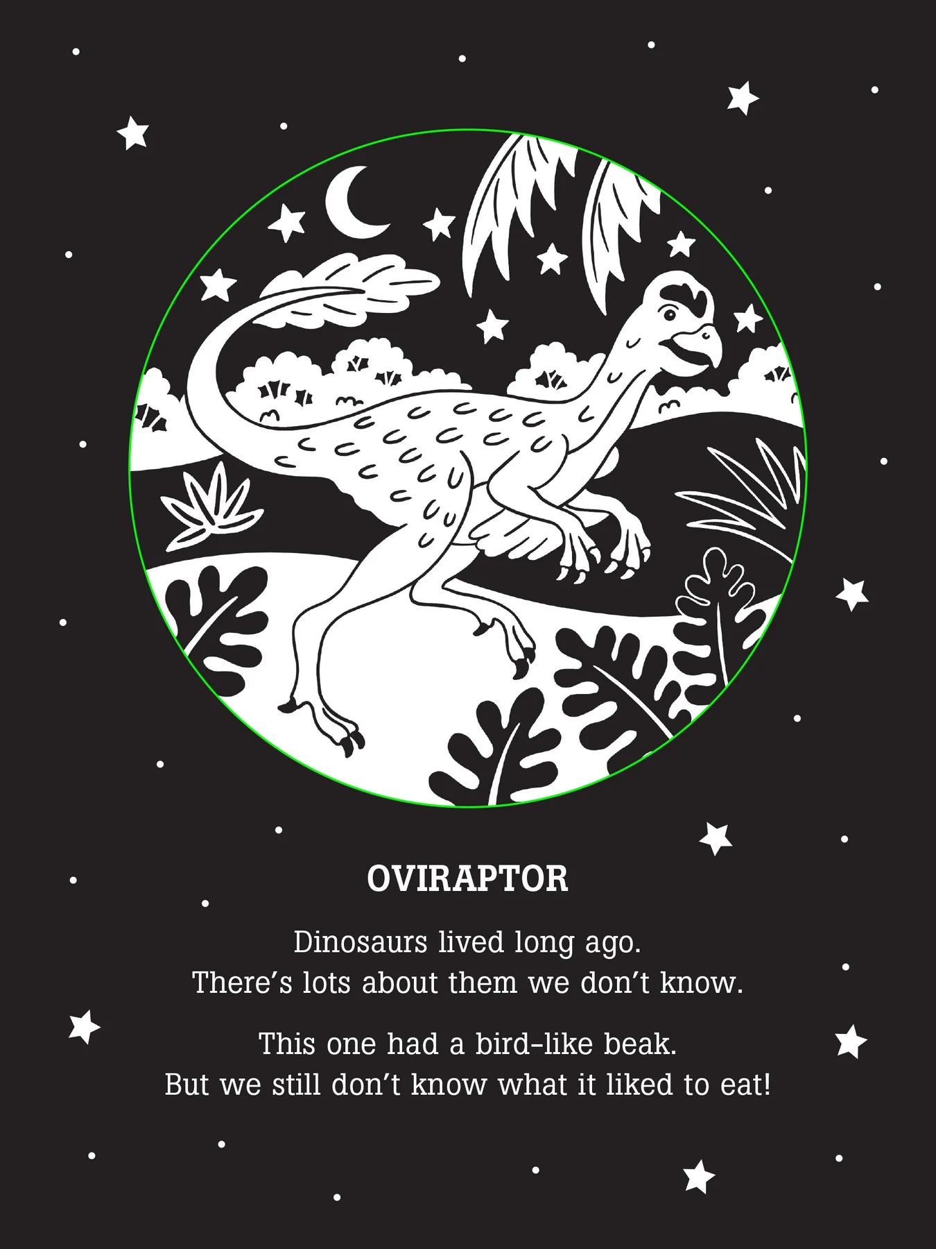 Bedtime Shadow Book - Dinos After Dark