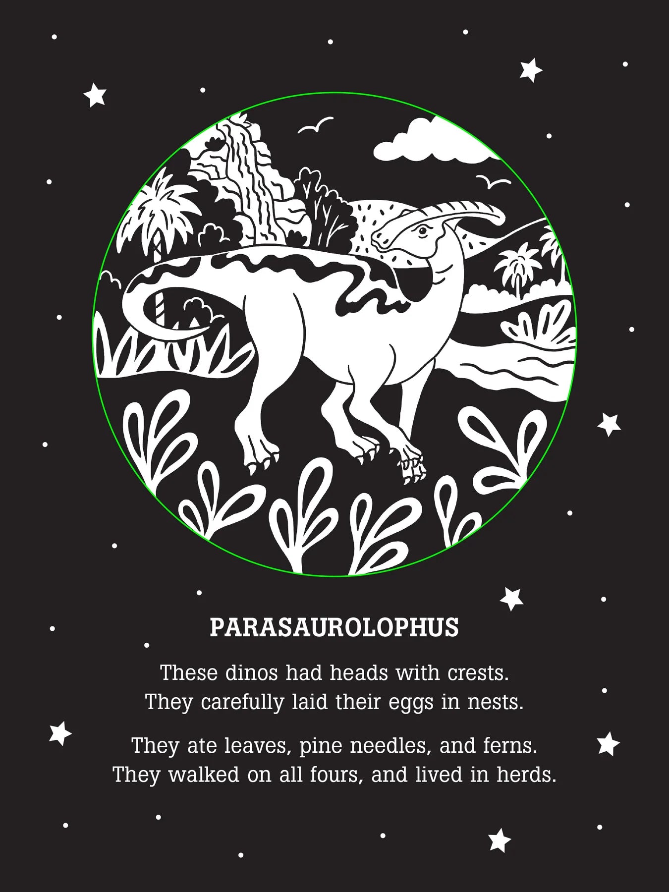 Bedtime Shadow Book - Dinos After Dark