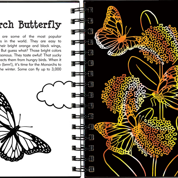 Scratch and Sketch - Butterflies and Friends