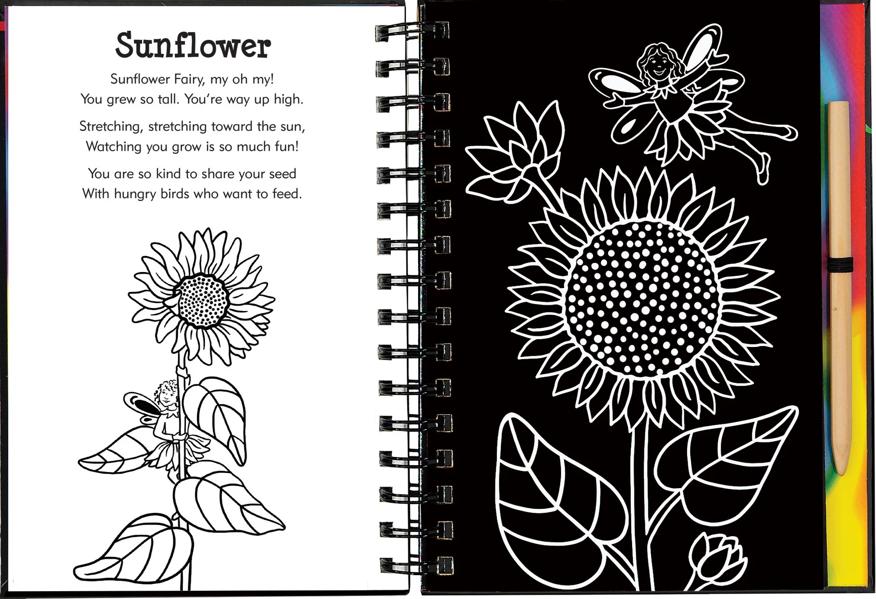 Scratch and Sketch - Garden Fairies