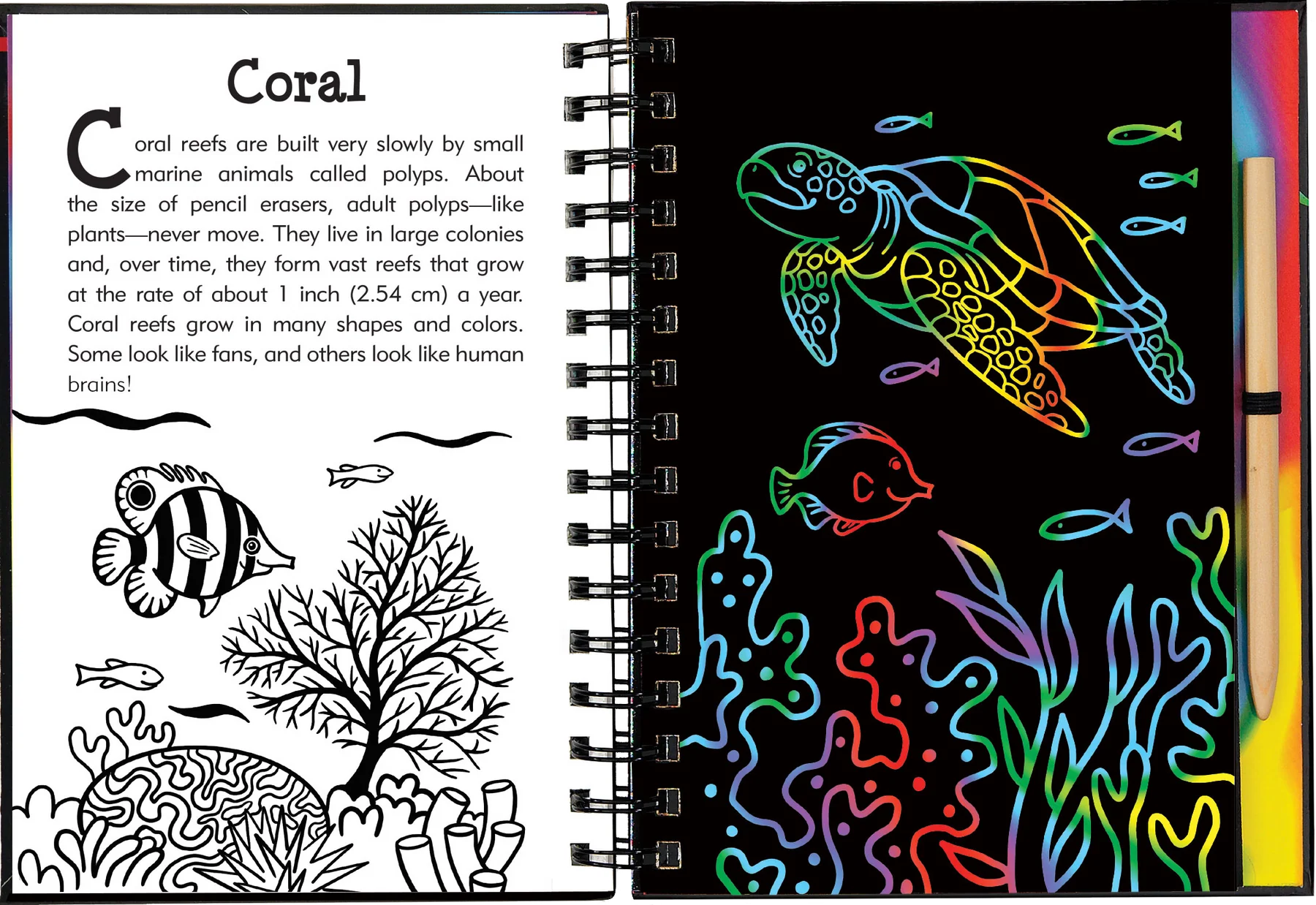 Scratch and Sketch - Under the Sea