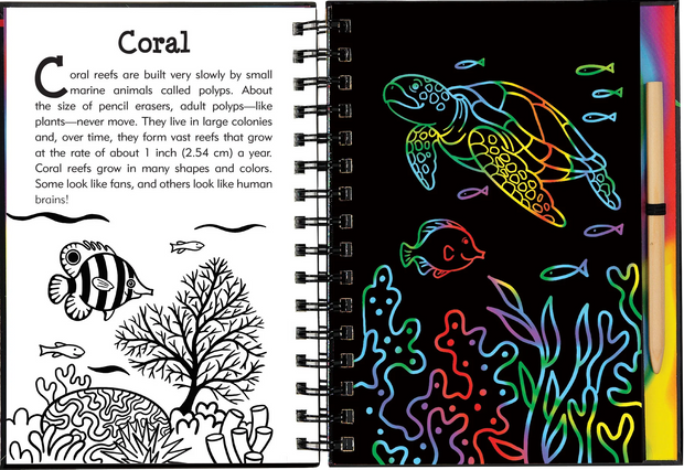 Scratch and Sketch - Under the Sea