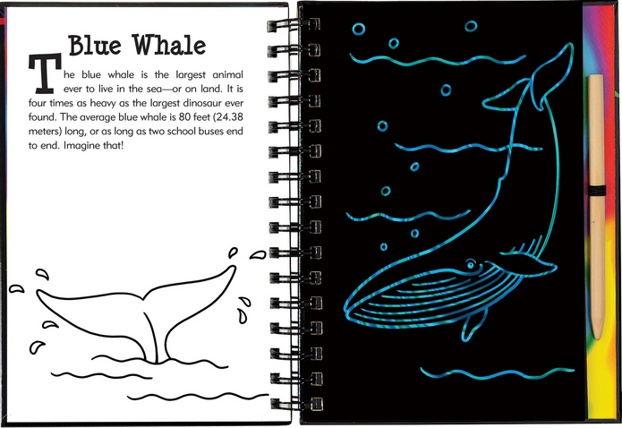 Scratch and Sketch - Under the Sea