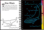 Scratch and Sketch - Under the Sea