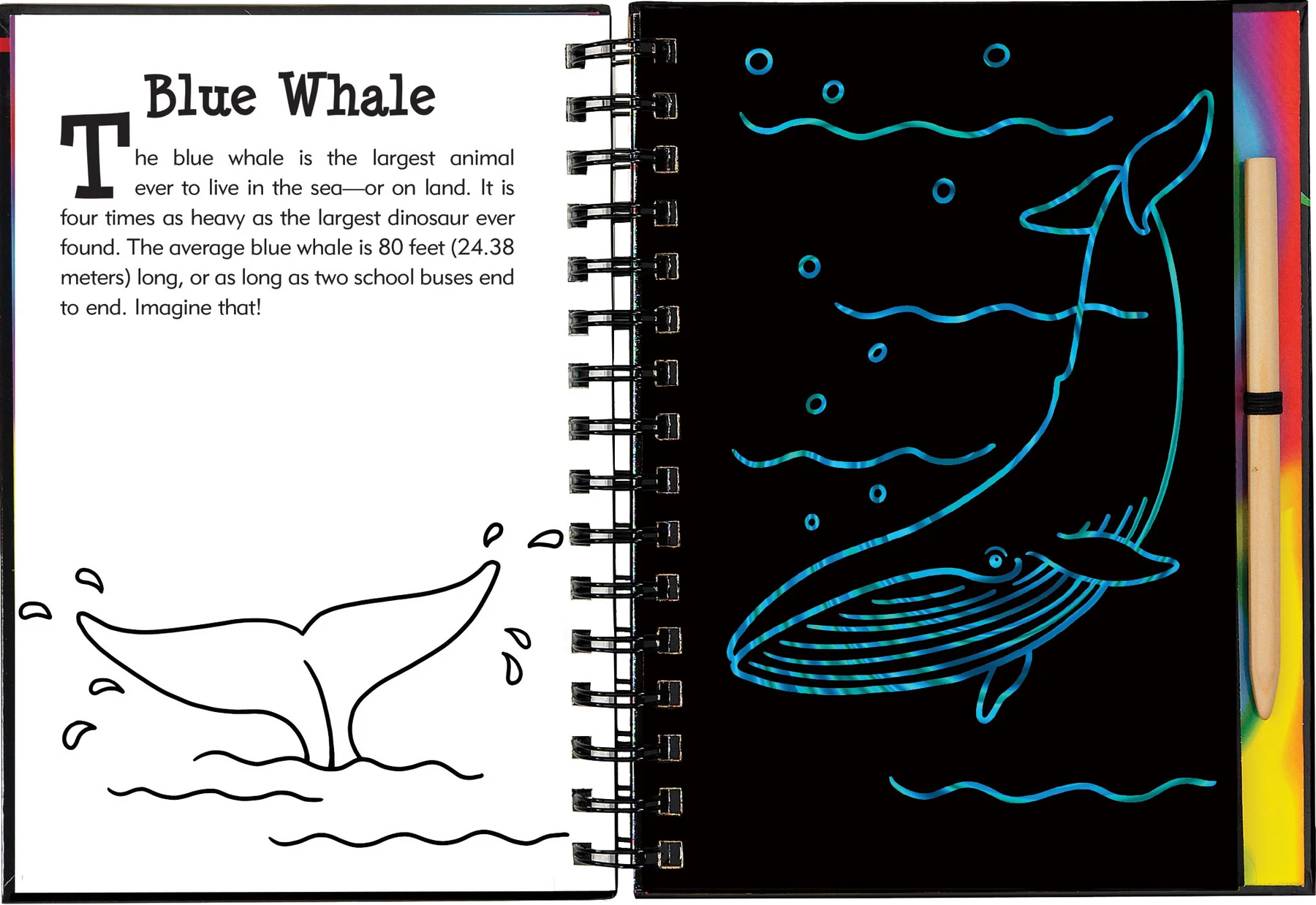 Scratch and Sketch - Under the Sea