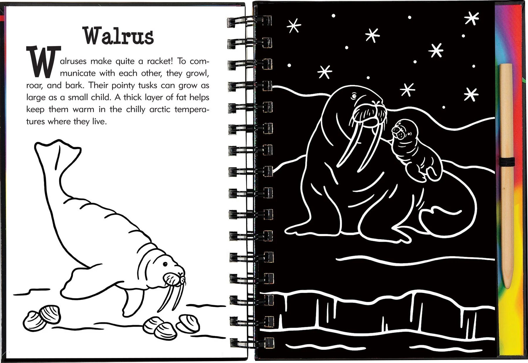 Scratch and Sketch - Under the Sea