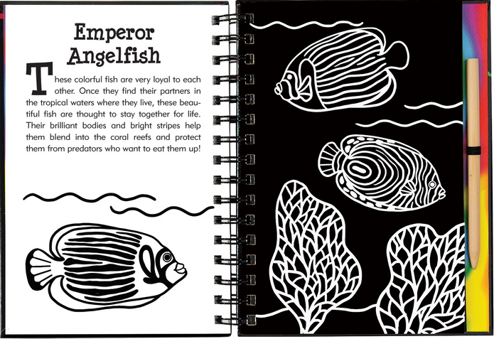 Scratch and Sketch - Under the Sea