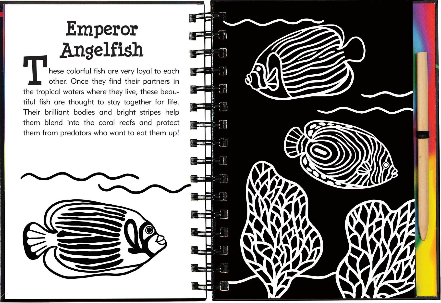 Scratch and Sketch - Under the Sea