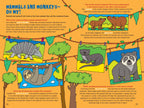 100 Questions about the Amazon Rainforest