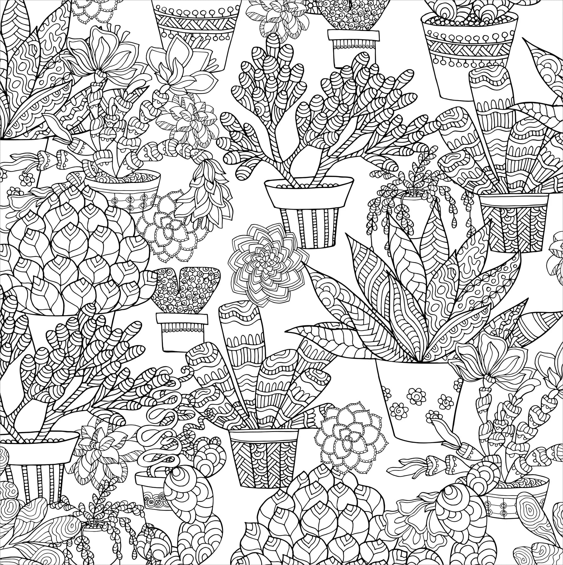 Colouring Book - Succulents