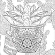 Colouring Book - Succulents