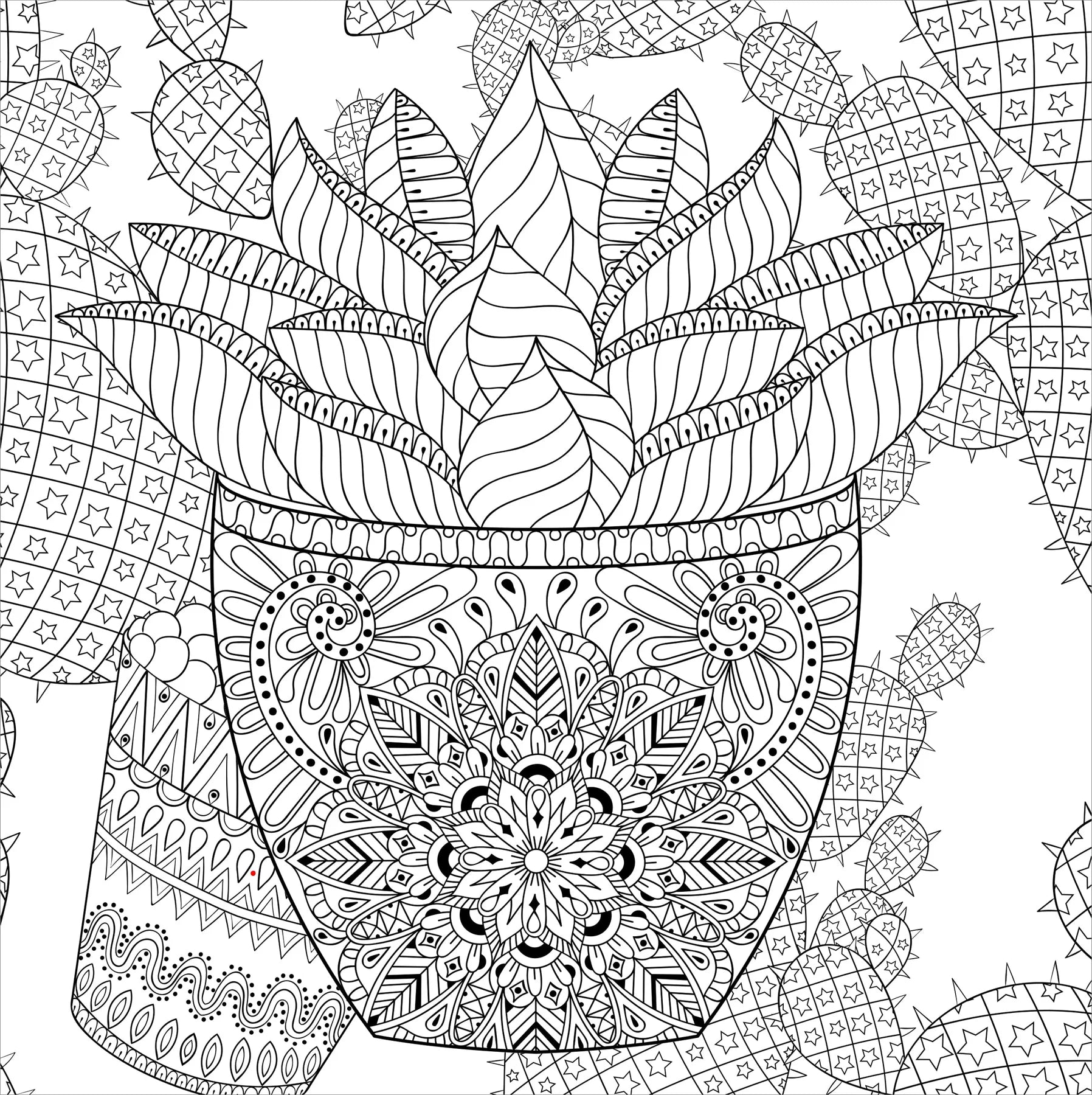 Colouring Book - Succulents