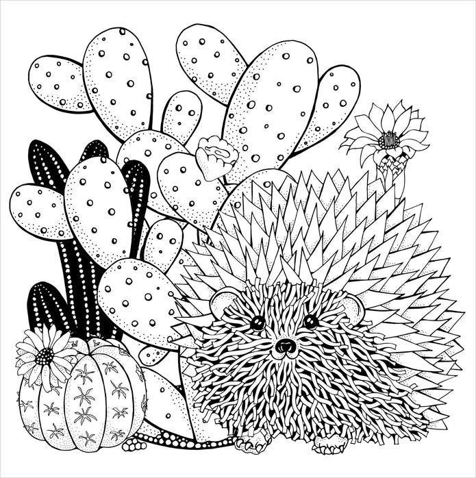 Colouring Book - Succulents