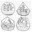 Colouring Book - Succulents